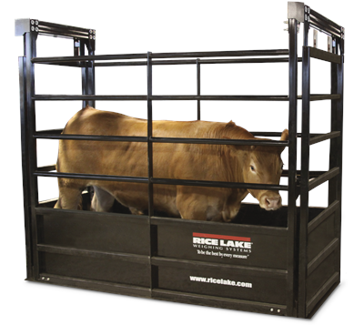 Roughdeck SLV Animal Livestock Scale