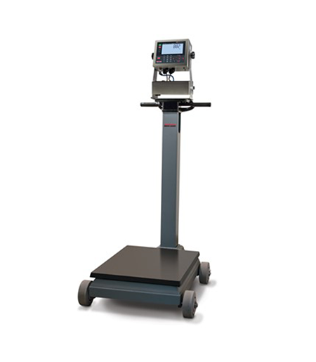 Sc Rl1200 Is Electromechanical Portable Beam Scale
